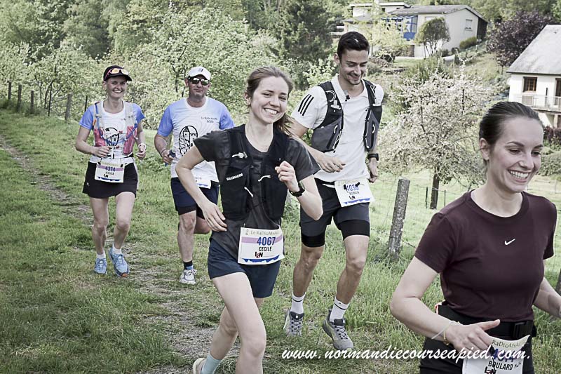 BCD913.jpg