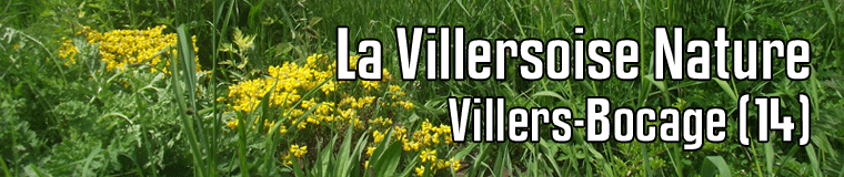 La Villersoise Nature, Villers Bocage (14), dimanche 25 août 2024