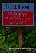 DSC 0001.jpg