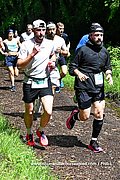 DSC 0148.jpg