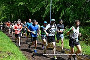 DSC 0216.jpg