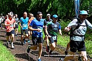 DSC 0218.jpg
