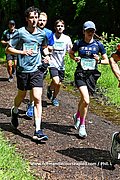 DSC 0245.jpg