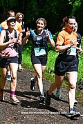 DSC 0343.jpg