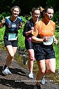 DSC 0345.jpg