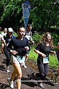 DSC 0380.jpg