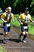 DSC 0428.jpg