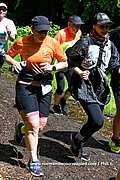 DSC 0529.jpg