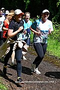 DSC 0531.jpg