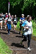 DSC 0535.jpg