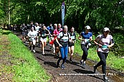 DSC 0538.jpg