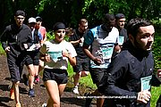 DSC 0551.jpg