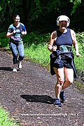 DSC 0643.jpg