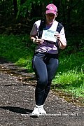 DSC 0733.jpg