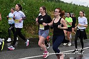 DSC 0469.jpg