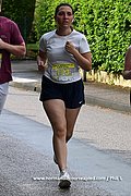 DSC 1081.jpg