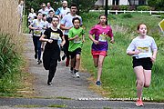 DSC 0014.jpg