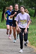 DSC 0043.jpg