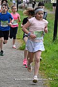 DSC 0343.jpg