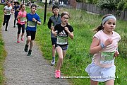 DSC 0347.jpg
