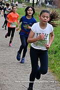 DSC 0354.jpg