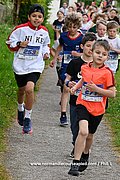 DSC 0421.jpg