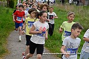 DSC 0429.jpg