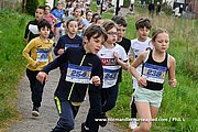 DSC 0441.jpg