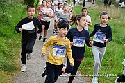 DSC 0443.jpg