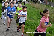 DSC 0449.jpg