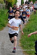DSC 0487.jpg