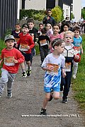 DSC 0513.jpg