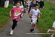 DSC 0521.jpg