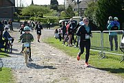 DSC_0824.jpg