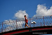 DSC_2830.jpg