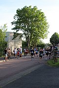IMG_3207 2.jpg