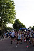 IMG_3247.jpg