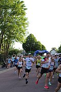 IMG_3248.jpg