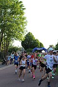 IMG_3249.jpg