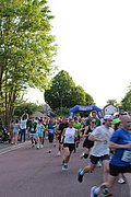 IMG_3252.jpg