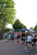 IMG_3253.jpg