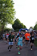 IMG_3256.jpg