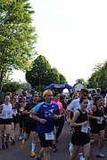 IMG_3269.jpg