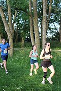 IMG_3379.jpg