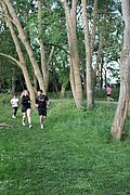 IMG_3582.jpg