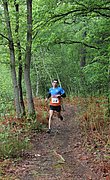IMG_3978.jpg