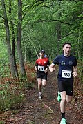 IMG_3986.jpg