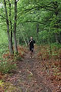 IMG_3995.jpg
