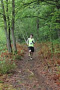 IMG_4002.jpg