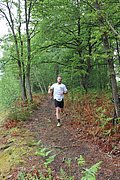 IMG_4011.jpg